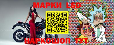 мяу мяу мука Кандалакша