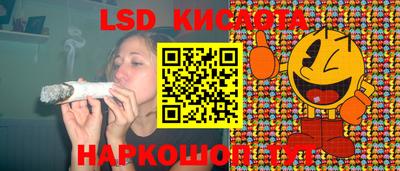 первитин Камышлов